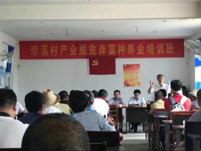 点击查看原图